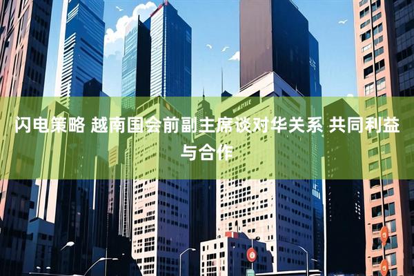 闪电策略 越南国会前副主席谈对华关系 共同利益与合作