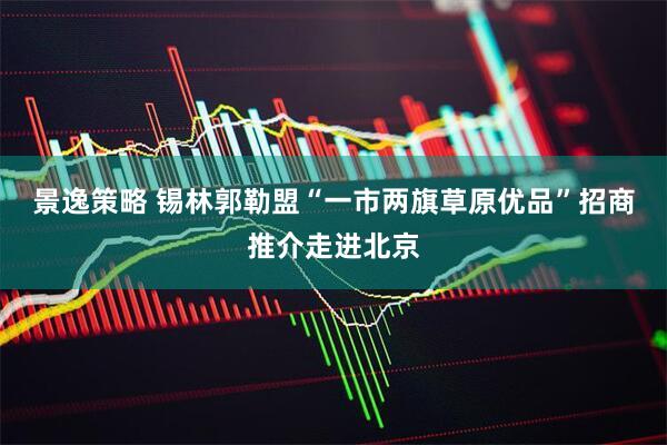 景逸策略 锡林郭勒盟“一市两旗草原优品”招商推介走进北京